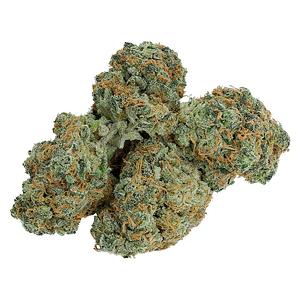 Electric Lettuce - Charged Sativa