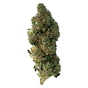 The Loud Plug - Frosted Swirl