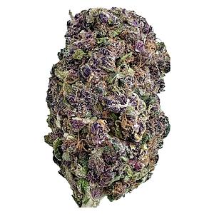 FatCat - Purple Honey - True Premium Purple Buds