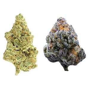 Rosin Heads - The Bread Bag