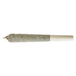 XPLOR Level X - Rainbow Razz Distillate Infused Pre Roll