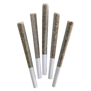 DEALR - Iced Zuchi Pre Roll