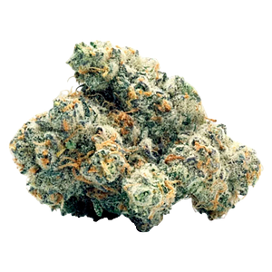 Toasted - Wifi Widow OG