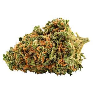 Palmetto - Platinum Cookies