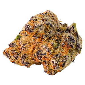 Highland Special - Paulander Purple