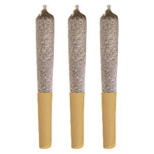 Potluck - Banana Cream Pre Roll