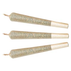 XPLOR Level X - Watermelon G-Bear Distillate Infused Pre-Roll