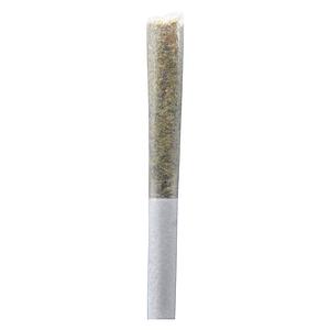 Ono - Permanent Gusher Pre Roll