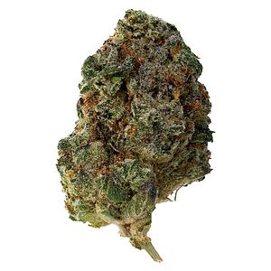 The Loud Plug - Waffle Cone