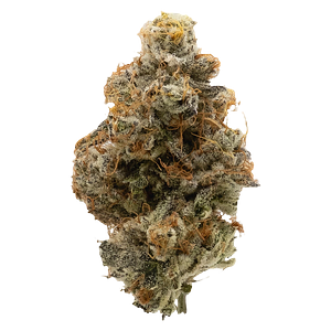 Northern Canna - Atomic Marker