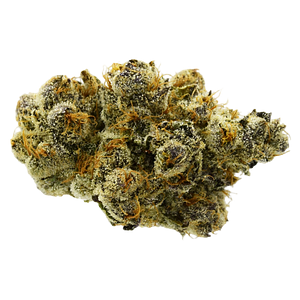 True Fire - 33 Splitter