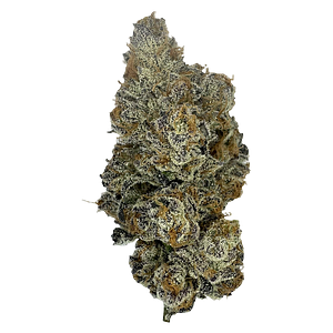 The Kitchen - Kadillac Rainbows