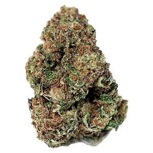 Jonny Chronic - Apricot Head