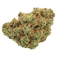 Trailblazer - Lemonade Haze
