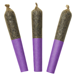 Dab Bods - Motor Breath 60's+ Dbl Infused Pre-Rolls