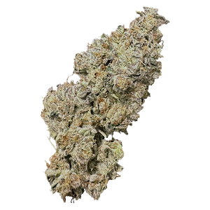 High Xotic - Royal Dive #1: Black Mountain Side