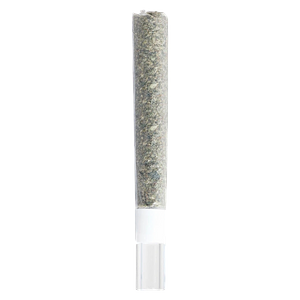 3rd Coast Genetics - Pure Michigan Glass Tip Pre-Roll