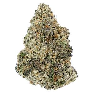 Woody Nelson - Premium Smalls [Rotating]