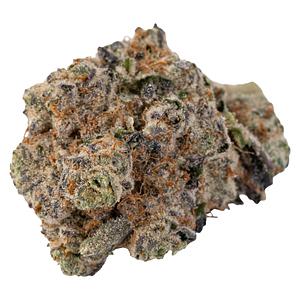 Silky Continental - Cross Bow