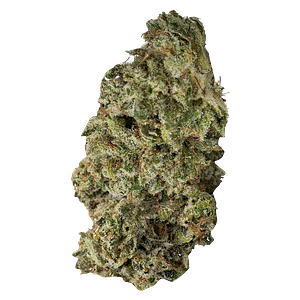 Contraband - DBL Dutch