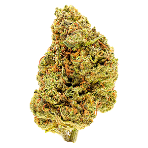 Palmetto - Goldberry