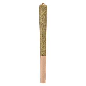 Woody Nelson - Country Club Infused Pre Roll