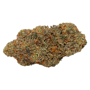 Carmel - Magic Pop RX