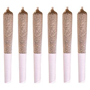 Station House - Jack Herer Pre-Roll