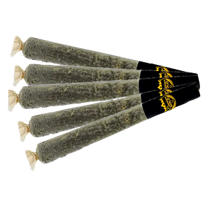 Caviar Gold - Baby Cavis Mixed Pack Infused Pre Roll