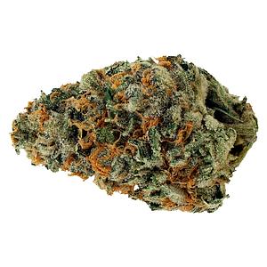 Starting Point! - Star Chase