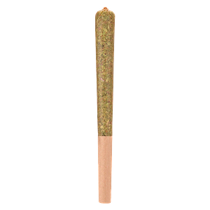 Woody Nelson - Rocketeer Infused Pre-Roll