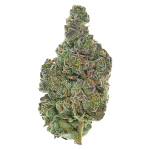 Lyoclean - Sublimed Flower