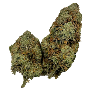 Puffer's Paradise - Honah Lee Haze