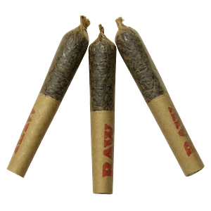 Dab Bods - Blueberry Resin Infused Pre-Roll