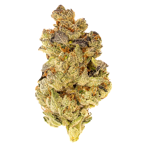 5 Points Cannabis - Mosa Orange Punch