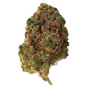 The Loud Plug - Purple Rain