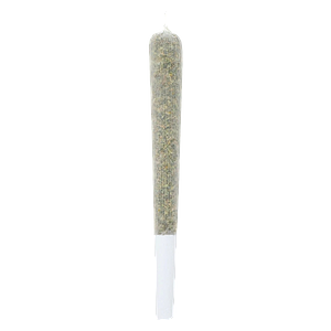 Lamplighter - Tiger Berry Infused Pre Roll