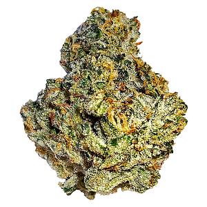 Cannabis Cartel Quads - Motorbreath 15