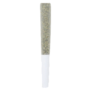 Crooked Dory - AAA+ Indica Pre-Roll