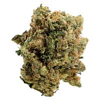 Handy Dandies - Itsy Bitsy Tipsy Whole Flower