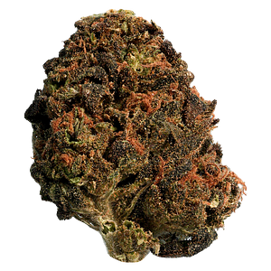 Big Steal - BC Organic Sungrown Mango Sapphire