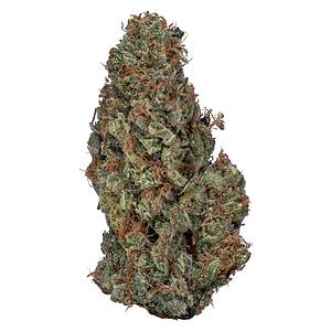 Value Buds - Sativa