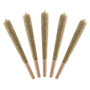 Standard Issue - Sour Green Apple Infused Pre Roll