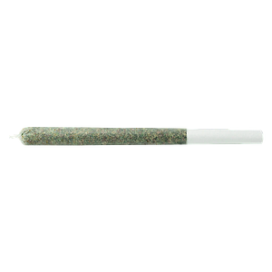 TERPi - Deca-Roll Pre Roll
