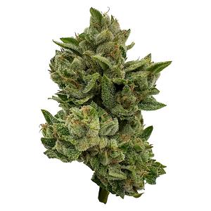 Deelish - Pretty Sweet Sativa