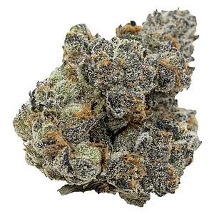 Pistol and Paris - Pink Death