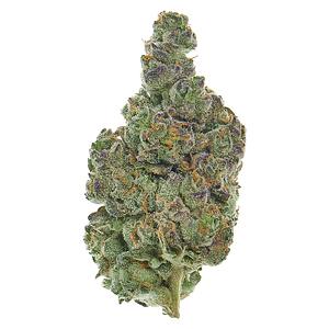 Lyoclean - Sublimed Flower