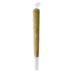 Double J's - Captain Kush Cereal Distillate Infused Pre Roll