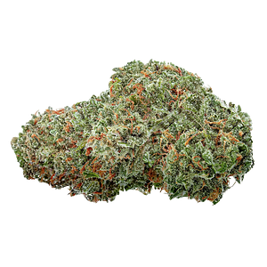 Highly Dutch Organic - Amsterdam Sativa