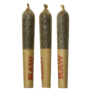 Dab Bods - Widows Blood Disti Infused Joints